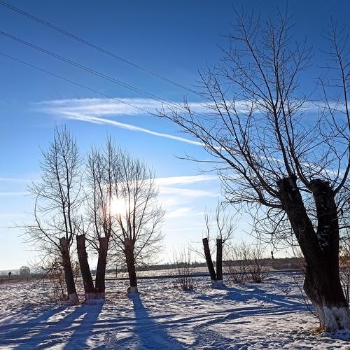 Photo #5422989