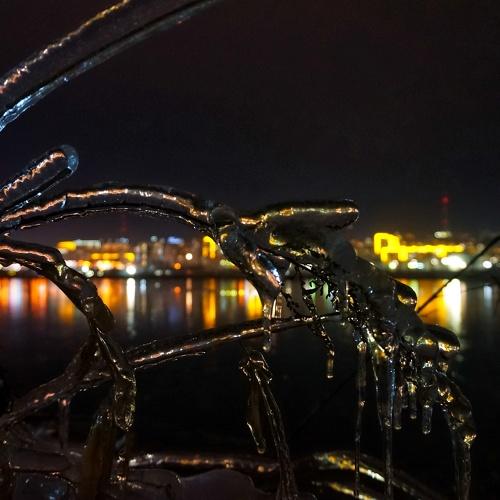 Photo #5423204