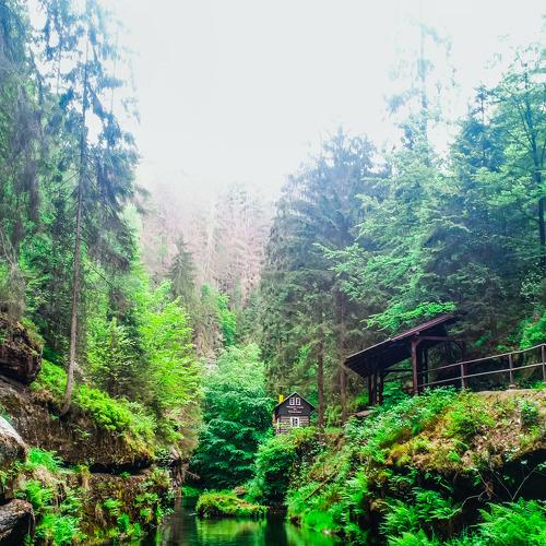 Photo #5423641