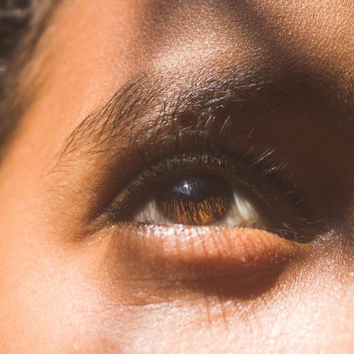 Photo #5423668