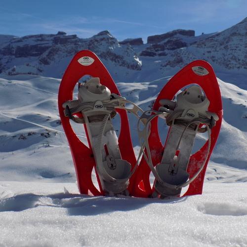 Photo #5423894