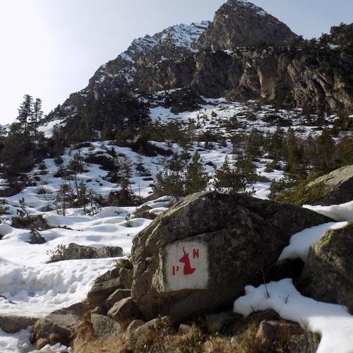 Photo #5423914