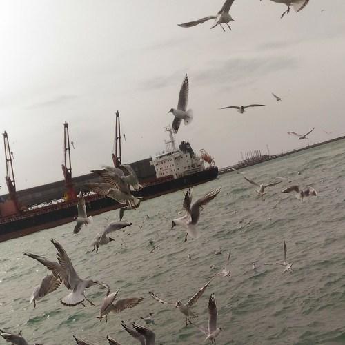Photo #5423997