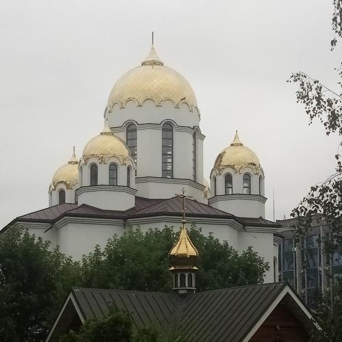 Photo #5424131