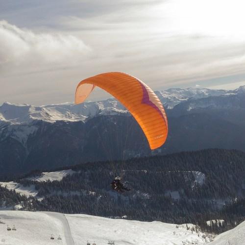 Photo #5424446