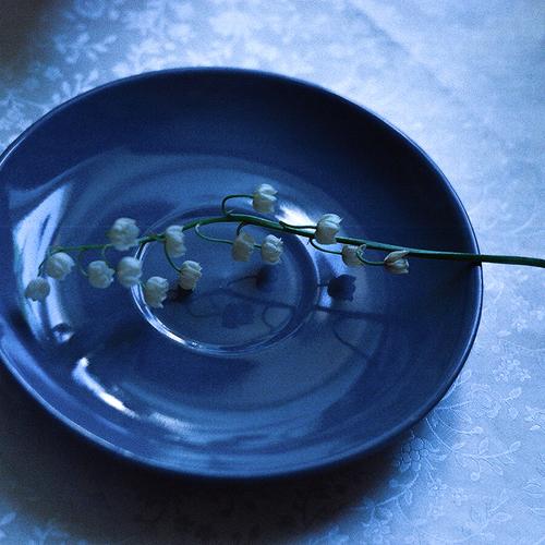 Photo #5425128