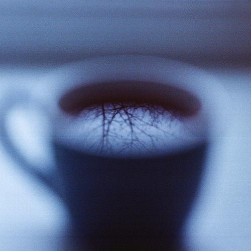 Photo #5425134