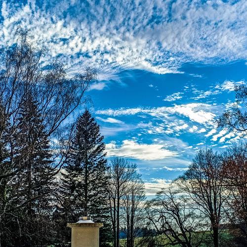 Photo #5425541