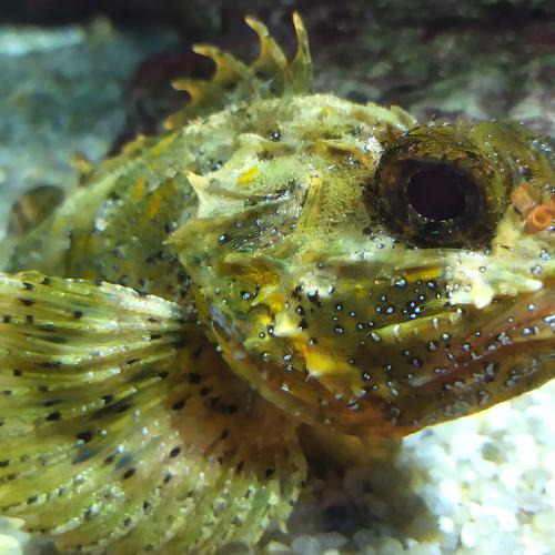 Photo #5426092