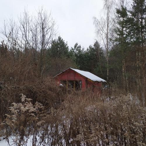 Photo #5426196