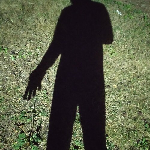 Photo #5426238