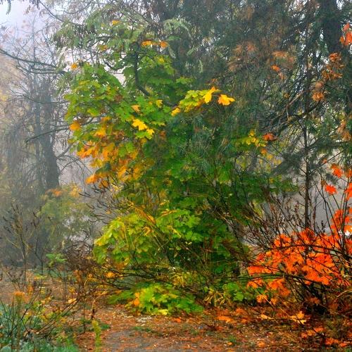 Photo #5426243