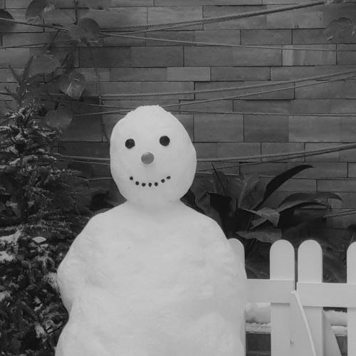 Playing with the snowman,only friend.