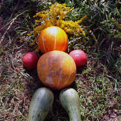 Photo #5426372