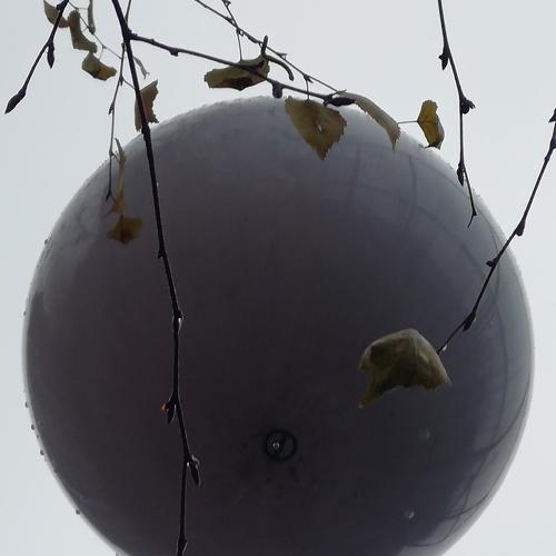 Photo #5426443