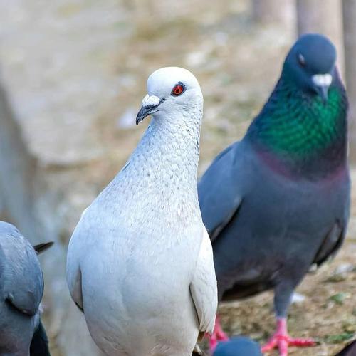 Photo #5427061
