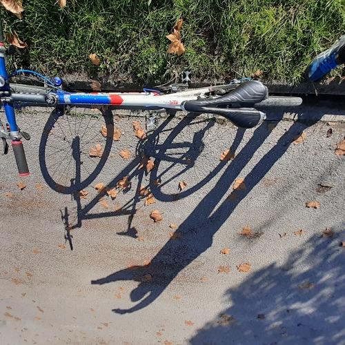 My bike
