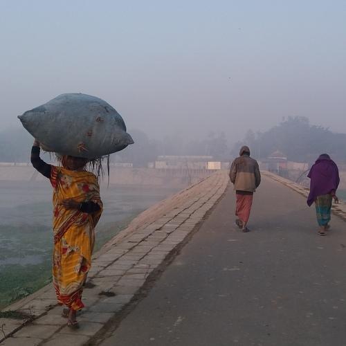 Photo #5427105