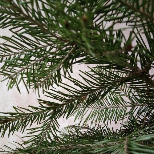 Photo #5427372