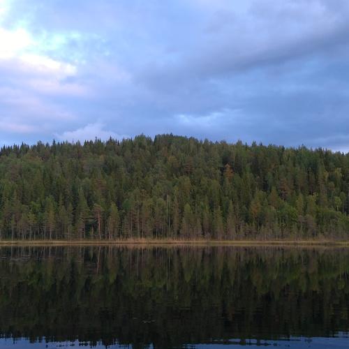 Photo #5427603