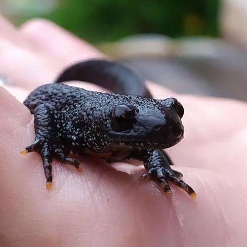 Photo #5428062