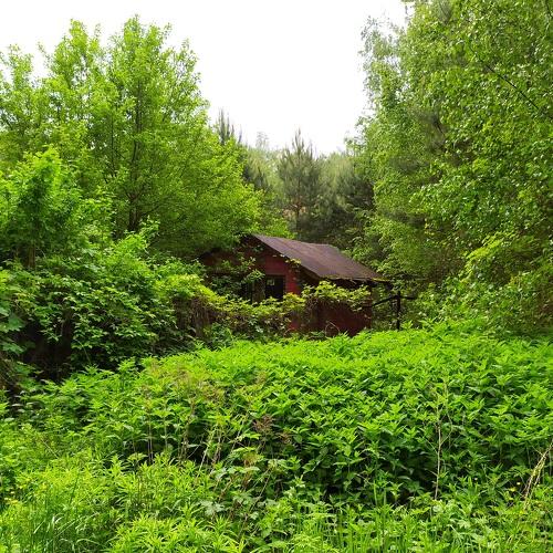 Photo #5428153
