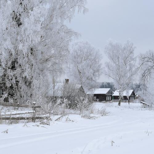 Photo #5428186