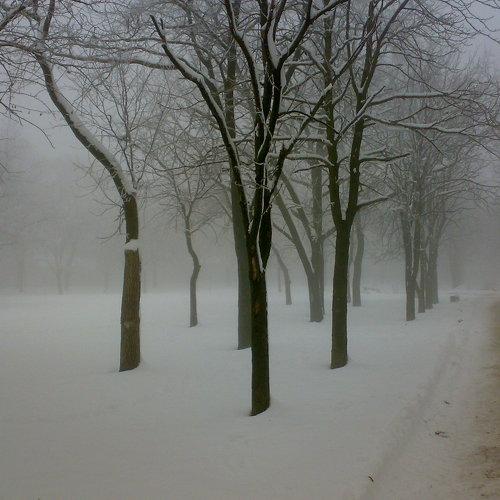Photo #5428328