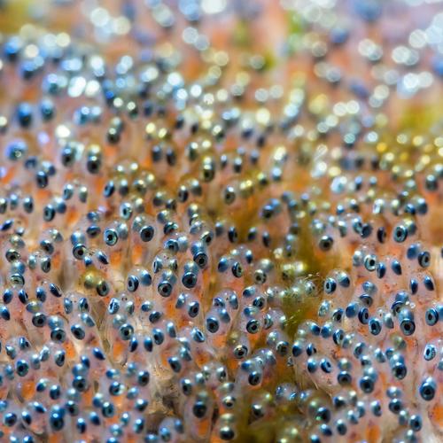 Photo #5428333