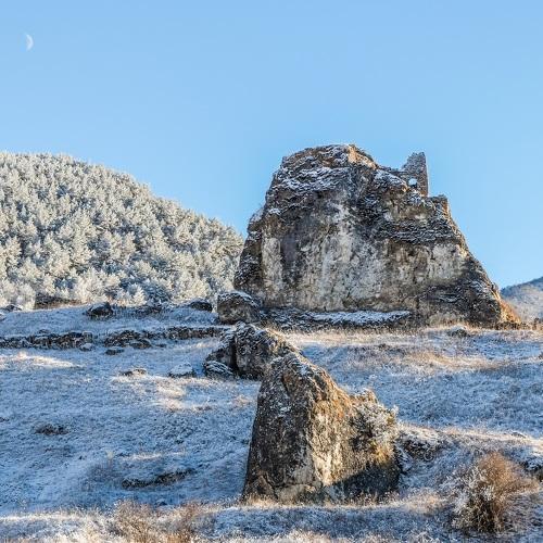 Photo #5429805