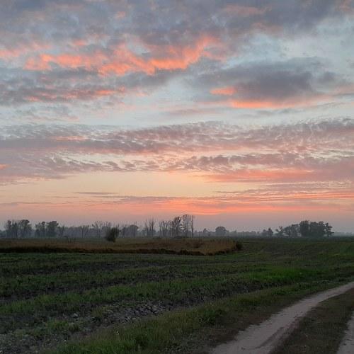 Photo #5429834