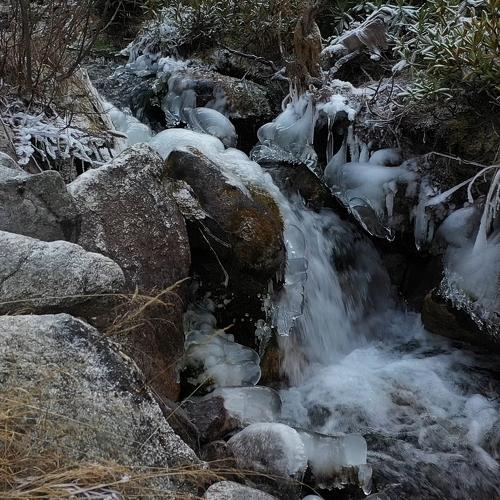 Photo #5429923