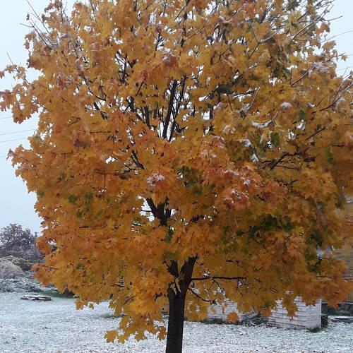 Photo #5430170