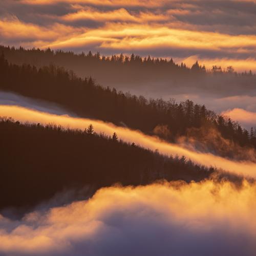 Photo #5430416