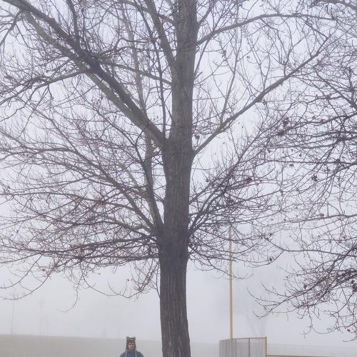 Photo #5431316
