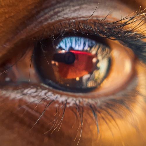 Photo #5431328