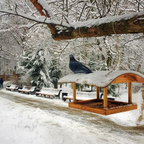 Photo #5432216