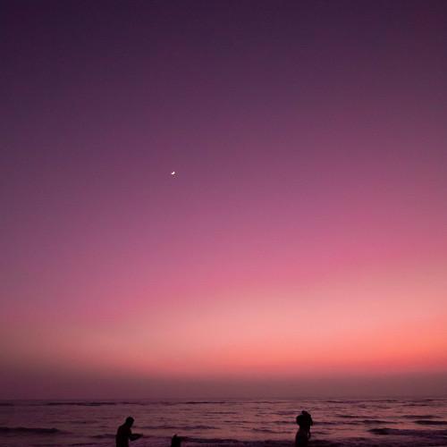 Photo #5432536