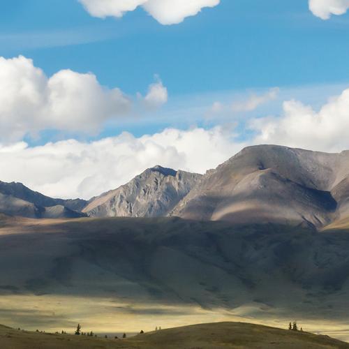 Photo #5432811
