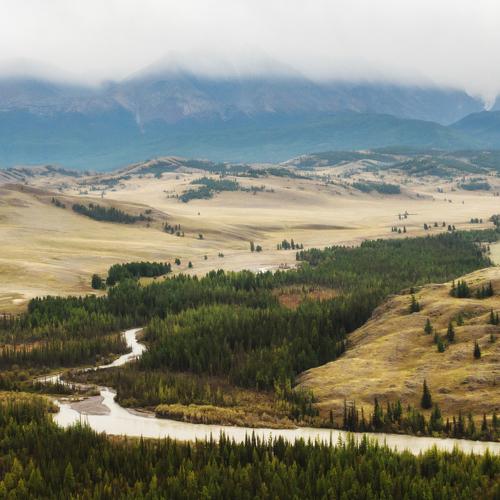 Photo #5432814