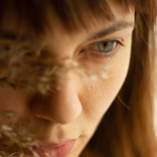 Photo #5433156