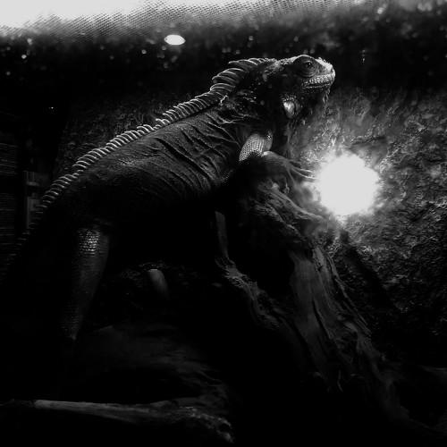 Photo #5433541