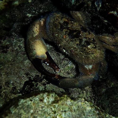 Photo #5433585