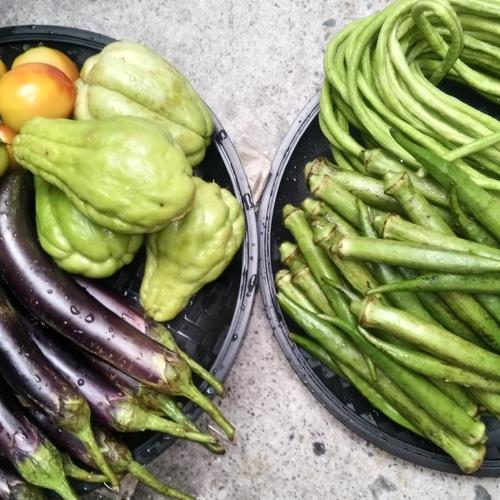 Photo #5433763