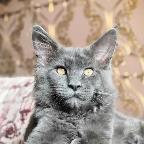 Photo #5434185