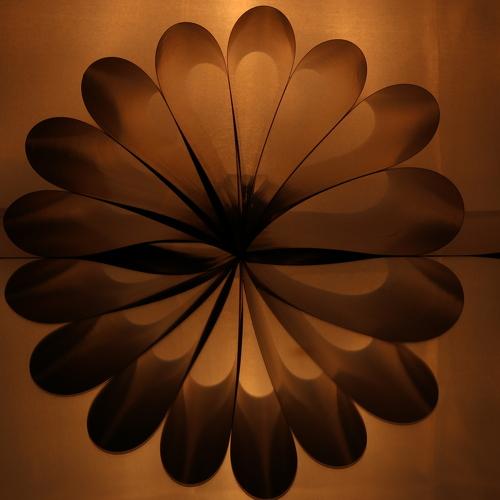 Photo #5434348
