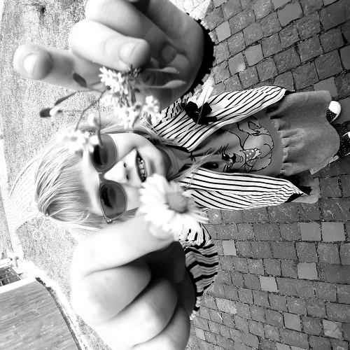 Photo #5434657