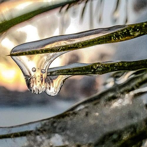 Photo #5434925