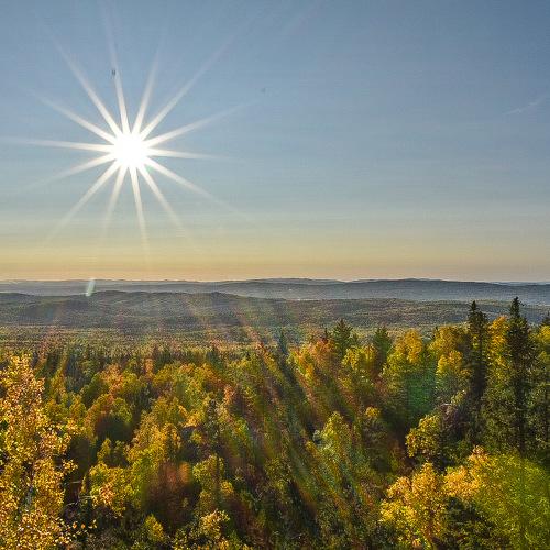 Photo #5434965