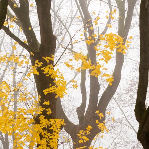 Фотография #5435442